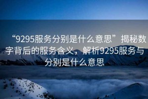 “9295服務(wù)分別是什么意思”揭秘數字背后的服務(wù)含義，解析9295服務(wù)與分別是什么意思