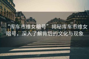 “庫車(chē)市維女暗號”揭秘庫車(chē)市維女暗號，深入了解背后的文化與現象