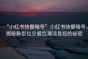 “小紅書(shū)快餐暗號”小紅書(shū)快餐暗號，揭秘新型社交餐飲潮流背后的秘密