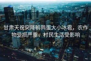 甘肅天祝突降鵪鶉蛋大小冰雹，農作物受損嚴重，村民生活受影響