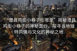 “澧縣雞街小巷子在哪里”揭秘澧縣雞街小巷子的神秘面紗，探尋當地獨特風(fēng)情與文化的神秘之地