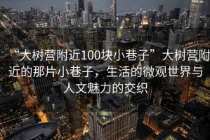 “大樹(shù)營(yíng)附近100塊小巷子”大樹(shù)營(yíng)附近的那片小巷子，生活的微觀(guān)世界與人文魅力的交織