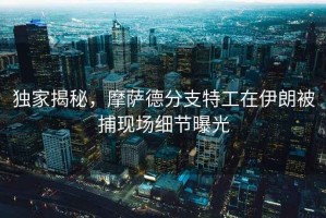 獨家揭秘，摩薩德分支特工在伊朗被捕現場(chǎng)細節曝光