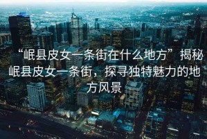 “岷縣皮女一條街在什么地方”揭秘岷縣皮女一條街，探尋獨特魅力的地方風(fēng)景