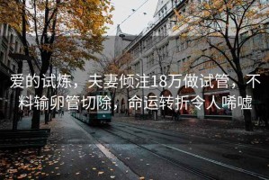 愛(ài)的試煉，夫妻傾注18萬(wàn)做試管，不料輸卵管切除，命運轉折令人唏噓