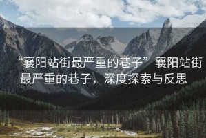 “襄陽(yáng)站街最嚴重的巷子”襄陽(yáng)站街最嚴重的巷子，深度探索與反思