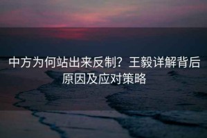 中方為何站出來(lái)反制？王毅詳解背后原因及應對策略