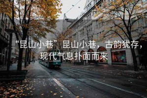 “昆山小巷”昆山小巷，古韻猶存，現代氣息撲面而來(lái)