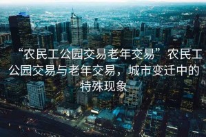 “農民工公園交易老年交易”農民工公園交易與老年交易，城市變遷中的特殊現象