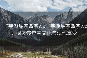 “蕪湖品茶嫩茶wx”蕪湖品茶嫩茶wx，探索傳統茶文化與現代享受