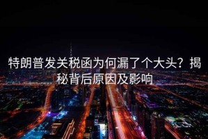 特朗普發(fā)關(guān)稅函為何漏了個(gè)大頭？揭秘背后原因及影響