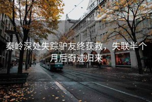 秦嶺深處失蹤驢友終獲救，失聯(lián)半個(gè)月后奇跡歸來(lái)