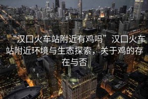 “漢囗火車(chē)站附近有雞嗎”漢囗火車(chē)站附近環(huán)境與生態(tài)探索，關(guān)于雞的存在與否