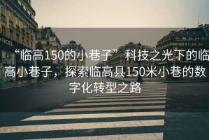 “臨高150的小巷子”科技之光下的臨高小巷子，探索臨高縣150米小巷的數字化轉型之路