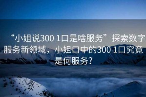 “小姐說(shuō)300 1口是啥服務(wù)”探索數字服務(wù)新領(lǐng)域，小姐口中的300 1口究竟是何服務(wù)？
