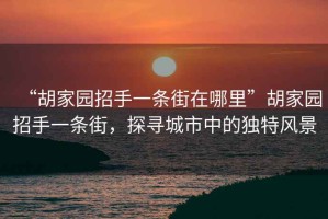 “胡家園招手一條街在哪里”胡家園招手一條街，探尋城市中的獨特風(fēng)景