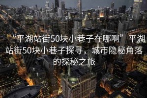 “平湖站街50塊小巷子在哪啊”平湖站街50塊小巷子探尋，城市隱秘角落的探秘之旅