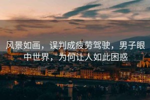 風(fēng)景如畫(huà)，誤判成疲勞駕駛，男子眼中世界，為何讓人如此困惑