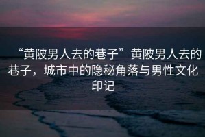 “黃陂男人去的巷子”黃陂男人去的巷子，城市中的隱秘角落與男性文化印記