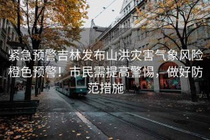 緊急預警吉林發(fā)布山洪災害氣象風(fēng)險橙色預警！市民需提高警惕，做好防范措施