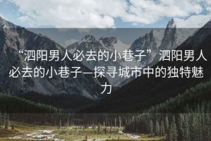 “泗陽(yáng)男人必去的小巷子”泗陽(yáng)男人必去的小巷子—探尋城市中的獨特魅力
