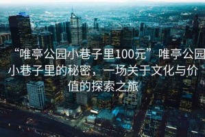 “唯亭公園小巷子里100元”唯亭公園小巷子里的秘密，一場(chǎng)關(guān)于文化與價(jià)值的探索之旅