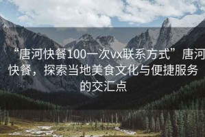 “唐河快餐100一次vx聯(lián)系方式”唐河快餐，探索當地美食文化與便捷服務(wù)的交匯點(diǎn)