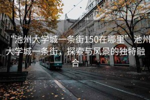 “池州大學(xué)城一條街150在哪里”池州大學(xué)城一條街，探索與風(fēng)景的獨特融合