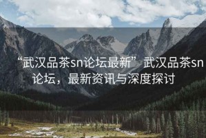 “武漢品茶sn論壇最新”武漢品茶sn論壇，最新資訊與深度探討