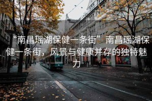 “南昌瑤湖保健一條街”南昌瑤湖保健一條街，風(fēng)景與健康并存的獨特魅力