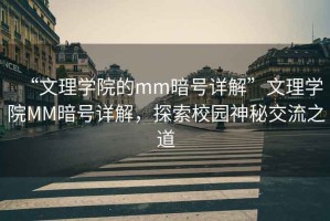 “文理學(xué)院的mm暗號詳解”文理學(xué)院MM暗號詳解，探索校園神秘交流之道