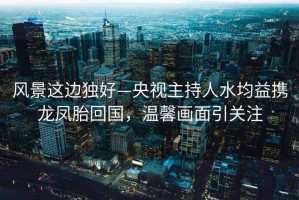 風(fēng)景這邊獨好—央視主持人水均益攜龍鳳胎回國，溫馨畫(huà)面引關(guān)注