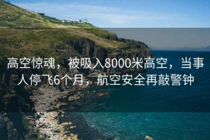 高空驚魂，被吸入8000米高空，當事人停飛6個(gè)月，航空安全再敲警鐘