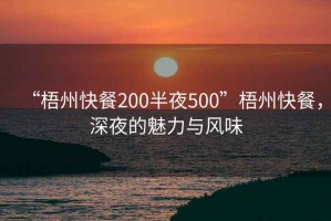 “梧州快餐200半夜500”梧州快餐，深夜的魅力與風(fēng)味