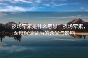“夜場(chǎng)葷素是什么意思”夜場(chǎng)葷素，深度解讀背后的含義與影響