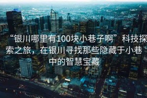 “銀川哪里有100塊小巷子啊”科技探索之旅，在銀川尋找那些隱藏于小巷中的智慧寶藏