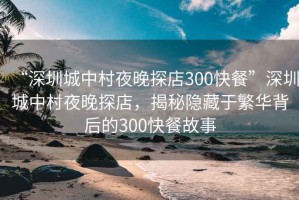 “深圳城中村夜晚探店300快餐”深圳城中村夜晚探店，揭秘隱藏于繁華背后的300快餐故事