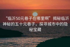 “臨沂50元巷子在哪里啊”揭秘臨沂神秘的五十元巷子，探尋城市中的隱秘寶藏