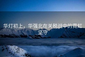 華燈初上，華強北在關(guān)稅戰中的霓虹堅守