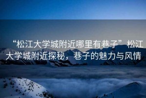 “松江大學(xué)城附近哪里有巷子”松江大學(xué)城附近探秘，巷子的魅力與風(fēng)情