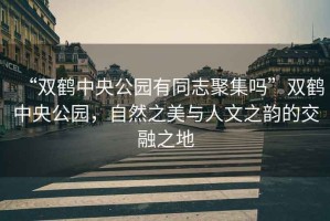 “雙鶴中央公園有同志聚集嗎”雙鶴中央公園，自然之美與人文之韻的交融之地