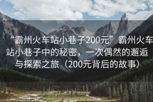 “霸州火車(chē)站小巷子200元”霸州火車(chē)站小巷子中的秘密，一次偶然的邂逅與探索之旅（200元背后的故事）
