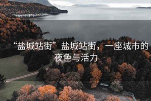 “鹽城站街”鹽城站街，一座城市的夜色與活力