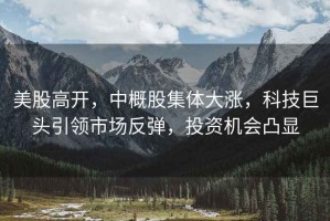 美股高開(kāi)，中概股集體大漲，科技巨頭引領(lǐng)市場(chǎng)反彈，投資機會(huì )凸顯
