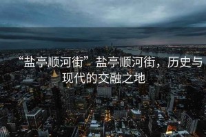 “鹽亭順河街”鹽亭順河街，歷史與現代的交融之地