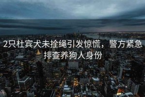 2只杜賓犬未拴繩引發(fā)驚慌，警方緊急排查養狗人身份