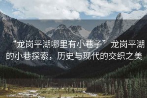 “龍崗平湖哪里有小巷子”龍崗平湖的小巷探索，歷史與現代的交織之美