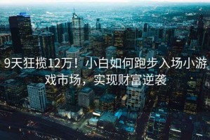 9天狂攬12萬(wàn)！小白如何跑步入場(chǎng)小游戲市場(chǎng)，實(shí)現財富逆襲