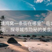 “岳塘雞窩一條街在哪里”岳塘雞窩一條街，探尋城市隱秘的美食勝地