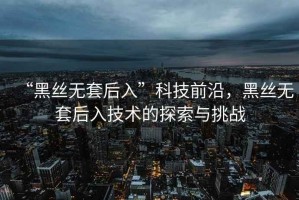 “黑絲無(wú)套后入”科技前沿，黑絲無(wú)套后入技術(shù)的探索與挑戰